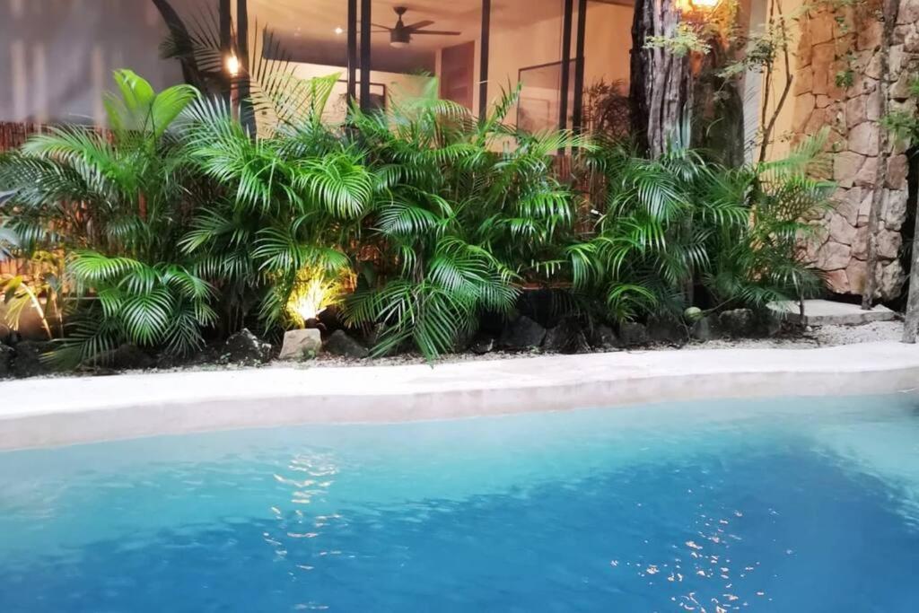 Agua & Selva Luxury Jungle Loft Appartement