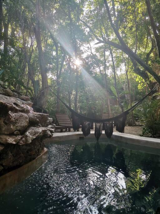 Agua & Selva Luxury Jungle Loft Appartement