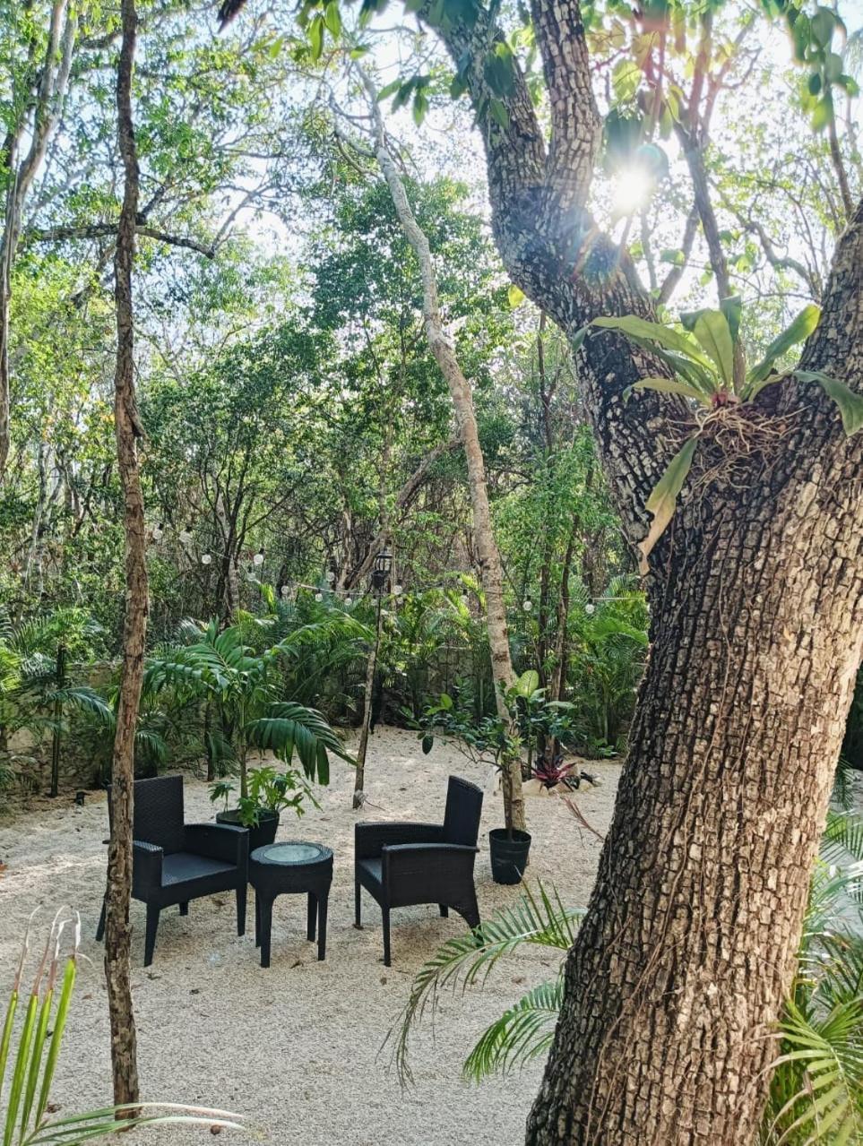 Appartement Agua & Selva Luxury Jungle Loft Tulum